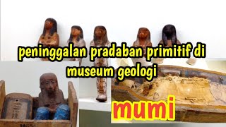 peninggalan primitif di museum geologi Istanbul Turki #museum #GEOLOGI #primitif #istanbul #tugba