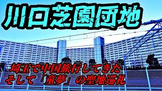 【国内で海外旅行】川口芝園団地/本格中華食材や中華食堂に行ってきた/漫画「童夢」の舞台