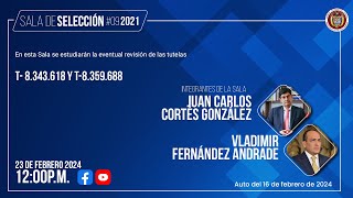 Sala de selección #09 de 2021: T-8.343.618 y T-8.359.688