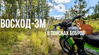 ВОСХОД 3М | В ПОИСКЕ БОБРОВ 24