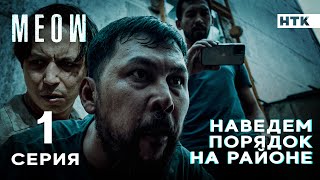 Родной, природа уже не кумарит! | MEOW - 1 серия