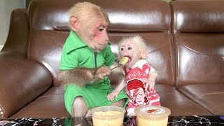 Bibi secretly stole Mom's caramel cake for the baby monkey to enjoy!