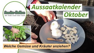 Aussaatkalender 🗓️ Oktober - Welches Gemüse und Kräuter kann man im Oktober anziehen 🌱