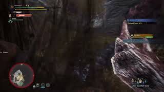 Monster Hunter World: Best Way to Cart!