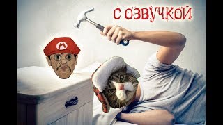 Приколы с котами с ОЗВУЧКОЙ – МАРИО и кот Мурзик – САМОЕ СМЕШНОЕ ВИДЕО – Domi Show