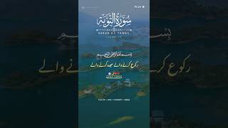 SURAH AL TAWBA | VERSES (112)Urdu Translation With Fateh Muhammad Jalandhari #ytshort #quran_lines55