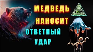 Невидимый ДИРИЖЁР ВОЙНЫ ⚡ или МЕДВЕДЬ наносит ОТВЕТНЫЙ УДАР 🔥