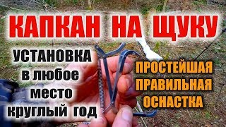 КАПКАН НА ЩУКУ КРУГЛЫЙ ГОД. Как ставить капкан и как снаряжать капкан - делаем правильно. Бушкрафт.