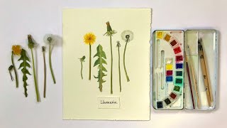 Blumen malen mit Aquarell (Anfänger), Teil 3: Löwenzahn im realistischen Stil