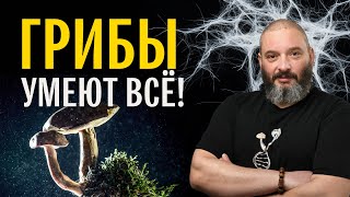 Почему грибы всё умеют? Михаил Вишневский