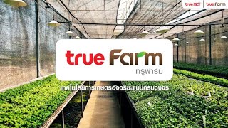 True Farm เทคโนโลยีการเกษตรอัจริยะ พร้อมยกระดับชีวิตคุณภาพเกษตรกรไทยด้วยเทคโนโลยี