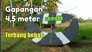 Layangan Gapangan semok 4,5 meter berhasil mengudara dengan mulus