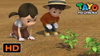 Tayo S5 English Episodes l Kinder's visit to the farm l Tayo Episode Club