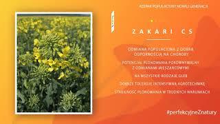 ZAKARI CS | Rzepak ozimy | Caussade Semences