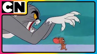 Tom’s Wild Trap Showdown! 😲 | #TomandJerry 😺🐭| Compilation | Cat & Mouse | Funny Cartoon | @cnindia