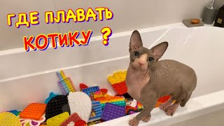 Где Плавать КОТУ ? 😻 Кот Миллион