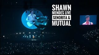 Shawn Mendes Live In Kuala Lumpur - Senorita & Mutual (Medley)