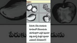 చిలీపి ప్రశ్నలు #తెలుగు #telugu