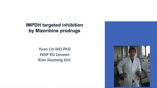 IMPDH targeted inhibition by Mizoribine prodrugs