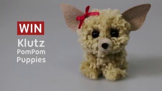 WIN Pom Pom Puppies | Australian Geographic