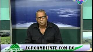 Comentarios sobre uso de agroquimicos en cultivos y crisis en el sector arroceros y molineros