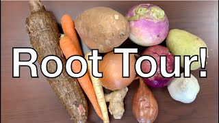 Learn with Me:  Root Vegetable Tour