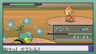 [Live] - Shiny Turtwig after 5,940 seen in Platinum - SINNOH TRIO COMPLETE!!!