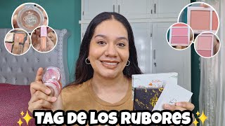 TAG DE LOS RUBORES ✨️| Beauty Creations, Pink Up, Italia Deluxe etc