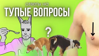 ТЫ ДАВНО ХОТЕЛ ЭТО ЗНАТЬ