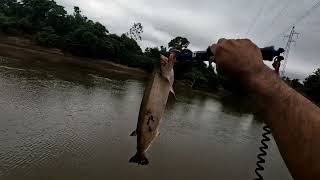 PESCAR ESSE PEIXE É DIVERSÃO GARANTIDA pescaria de barranco.