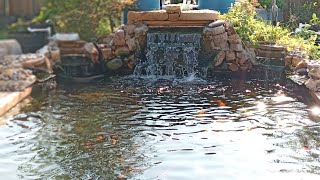 Koi pond with water conservation in mind