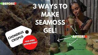 HOW TO MAKE SEAMOSS GEL 3 WAYS! | REAL CHONDRUS CRISPUS | DR SEBI APPROVED | BLISSFUL KITCHEN