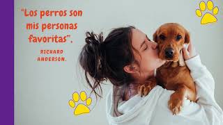 Quotes about dogs  Dog quotes  FRASES SOBRE PERROS. Las frases más famosas sobre perros 🐾⬇️💖🐶🐕