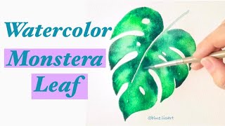 Watercolor Monstera Leaf