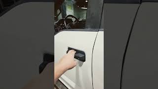 Ford F250 NEW DOOR