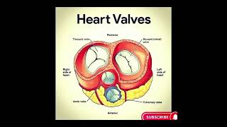 YouTube #shorts # For NMDCAT ETA #and tests