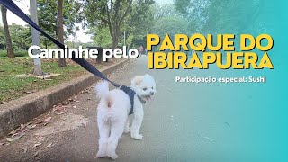 Relaxe caminhando pelo Parque do Ibirapuera / Relaxation: walking in Ibirapuera Park in Brazil