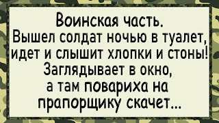 Прапорщика и повариху застукали за этим делом! Анекдоты! Юмор!