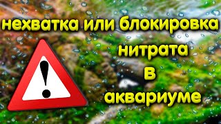 Нитрат или азот в аквариуме. Его нехватка и блокировка.