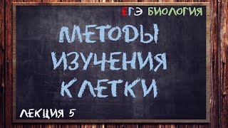 Л.5 | Методы изучения клетки | ОБЩАЯ БИОЛОГИЯ ЕГЭ