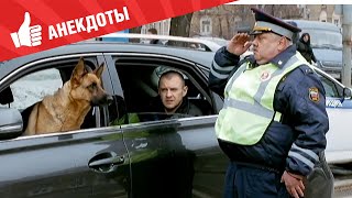 Анекдоты - Выпуск 94