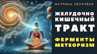 ИСПРАВНОЕ ПИЩЕВАРЕНИЕ🍀ФЕРМЕНТЫ🍀МЕТЕОРИЗМ🍀ИСЦЕЛЕНИЕ КИШЕЧНИКА (МАТРИЦА ГАРЯЕВА)