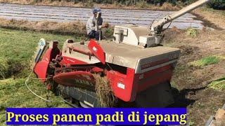 Proses panen padi Di jepang Canggih Dan cepat