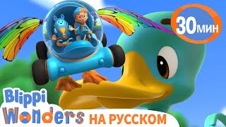 Как Плавают Утки? | Обучающие мультики для детей | Blippi Russian