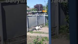 Я у бабушки Иры