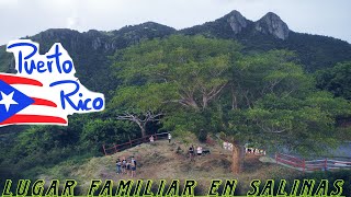 Así es La Curva del Árbol en Salinas, Puerto Rico 🇵🇷