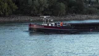 Frachtschiff Minerva ShipSpotting - Binnnenschiffverkehr Deutschland Spotter