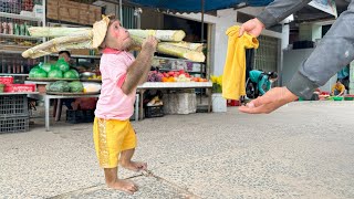 Cutis harvest sugarcane sells to redeem shirt when had trouble at market 😂