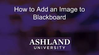 How to Add an Image to Blackboard