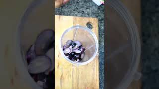 Jamun drink recipe#summerdrink #recipe #trendingshorts